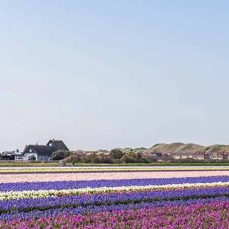 New! House Aan Zee With Spacious Garden Feriehus